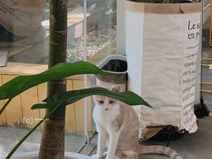 -五进制 Coffee Shop