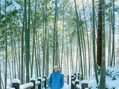 -安吉龙王山风景区