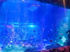 -沈阳海洋探索中心