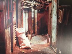 -九龙寨城公园