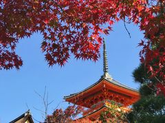 -有栖山 清光院 清水寺