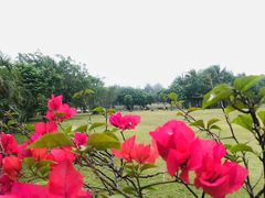 -白沙门生态公园