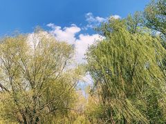 -二一九公园