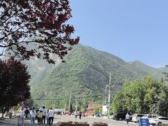 -少华山国家森林公园