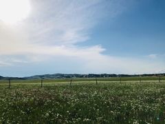 -百草敖包