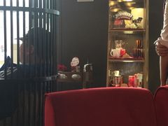 -哈根达斯(泉州万达店)
