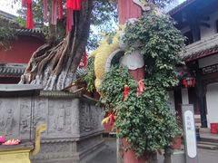 -黄龙溪古镇-古龙寺