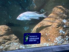 -大连圣亚海洋世界