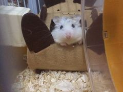 -龙猫仔乐园(惠福东路店)