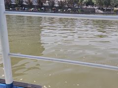 -海河游船-永乐码头(大悲院)