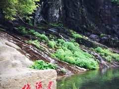 -望天鹅景区