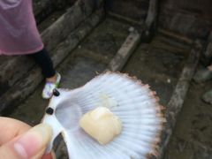 -兴旺渔家
