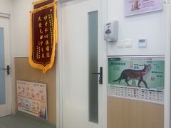 -瑞派·关忠动物医院·猫专科·犬专科(三环新城店)