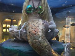 -成都泰迪熊博物馆