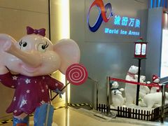 -冰纷万象滑冰场(沈阳万象城店)