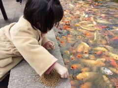 -星龙海鲜(望江东路店)