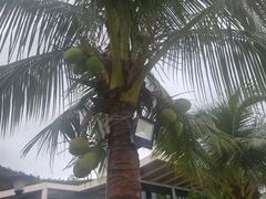 -越海渔村