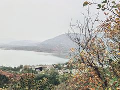 -十三陵水库