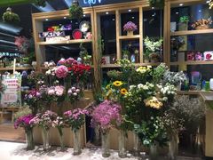 -谷莠子花艺·气球派对·绿植造景·花艺沙龙(金光华广场店)