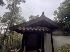 -梦姑塘文化公园