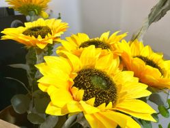 -YooMee优美智能科技美肤机构