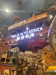 -卡通尼·Safari非洲探索乐园·生日会(金桥国际商业广场店)