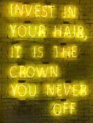 -HAIR PORN STUDIO