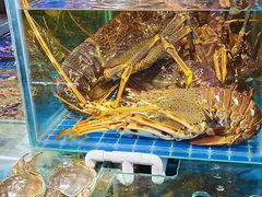 -王四营海鲜市场