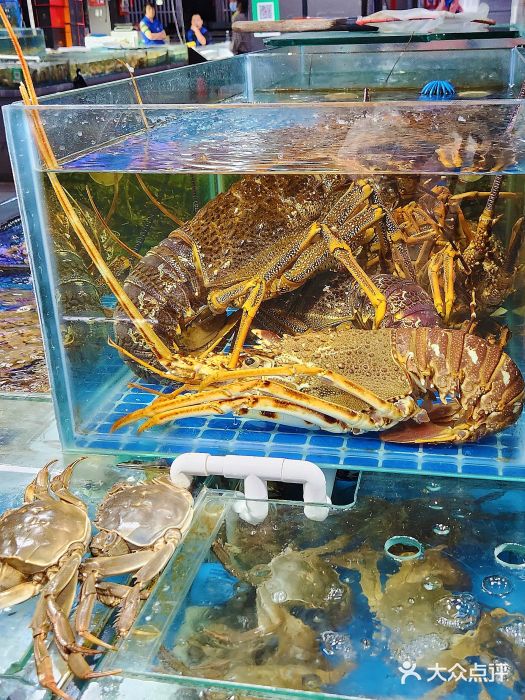 王四营海鲜市场图片