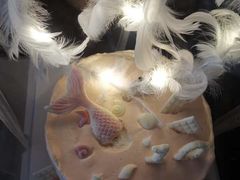 -锦时动物奶油蛋糕(茂业东方时代店)