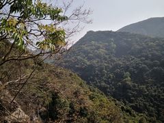 -老虎沟生态农场