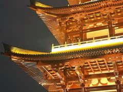 -杜甫江阁