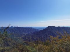 -大岭沟猕猴桃谷风景区