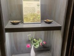 -樱蘭全息养生馆(三里屯店)