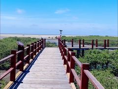 -北海金海湾红树林生态旅游区