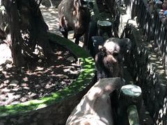 -昆明动物园