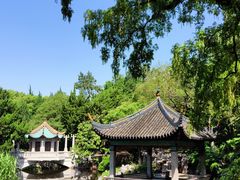 -叶家花园