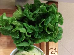 -陈记顺和潮汕牛肉火锅(棠德南路店)