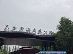 -黄海国家森林公园