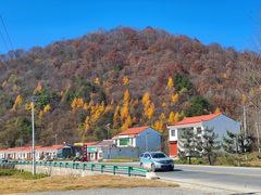 -秦岭风景区