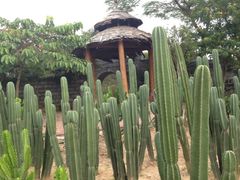 iphone_upload_pic-松山湖梦幻百花洲