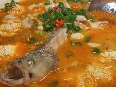 鲜椒豆花鲈鱼-川味堂·四川豆花(八卦岭店)