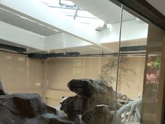 -宁波野生动物园