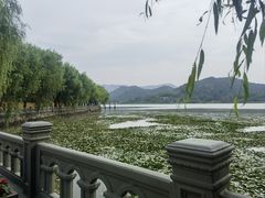 -鸣鹤古镇