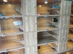 -猫十亿·布偶金渐层·曼基康矮脚猫舍(青年路店)