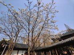 -郑和公园