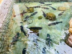 -耕渔小院·湖南鱼鲜(望城店)