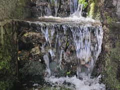 -蝴蝶泉公园