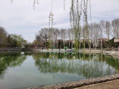 -黄村公园
