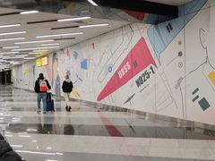 -谢列梅捷沃国际机场